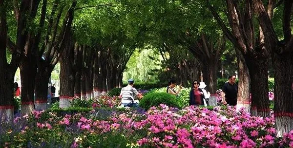 梦想启航,青春飞扬:大同市2025年中考顺利开考 第25张