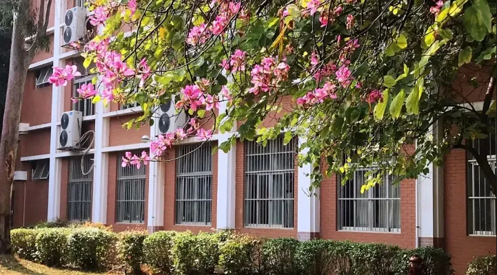 南宁中考家长必看:二中、三中该怎么选? 第19张