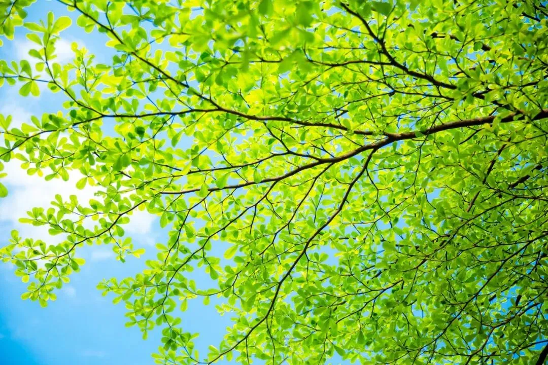 中考期间 大同市气温总体适宜 第12张