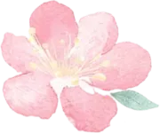 26中考必考!《生态环境法典》如何撬动浙江命题?山水老师深度拆解+备考指南 第3张