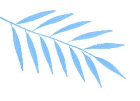 2026领跑中考化学总复习深圳专版 第3张