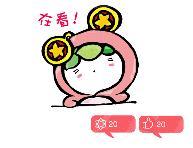 最新通知!事关2026年泉州市中考报名工作 第7张