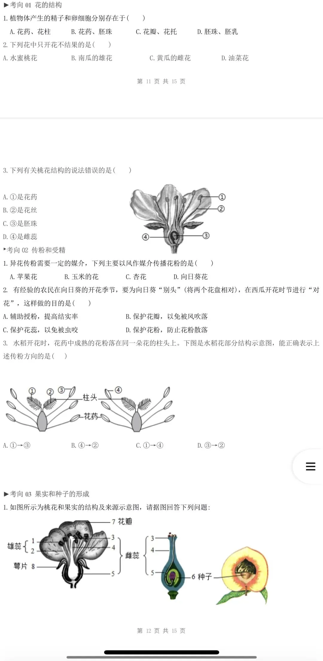 2026年中考生物:一轮复习讲义+专项训练+综合检测64个专题含答案详解(全国通用)完整word版文档可下载打印 第20张