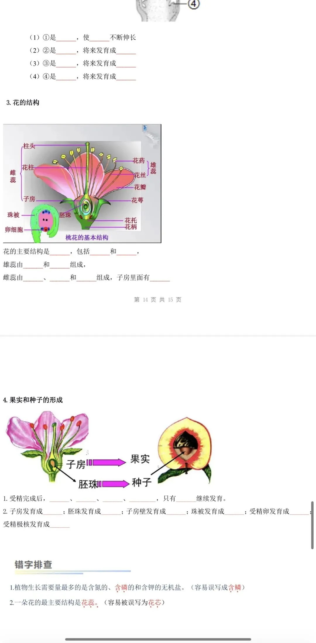 2026年中考生物:一轮复习讲义+专项训练+综合检测64个专题含答案详解(全国通用)完整word版文档可下载打印 第22张