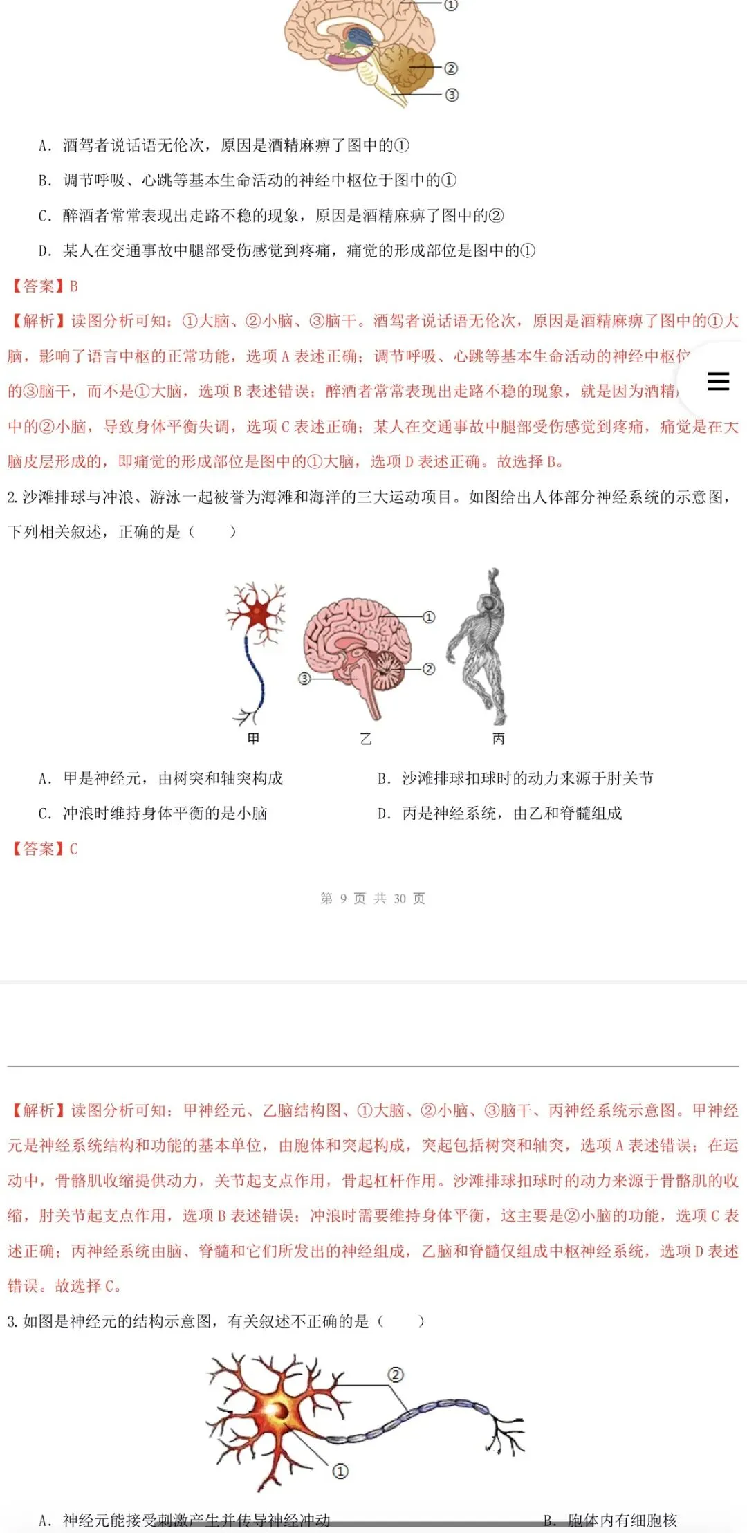 2026年中考生物:一轮复习讲义+专项训练+综合检测64个专题含答案详解(全国通用)完整word版文档可下载打印 第29张