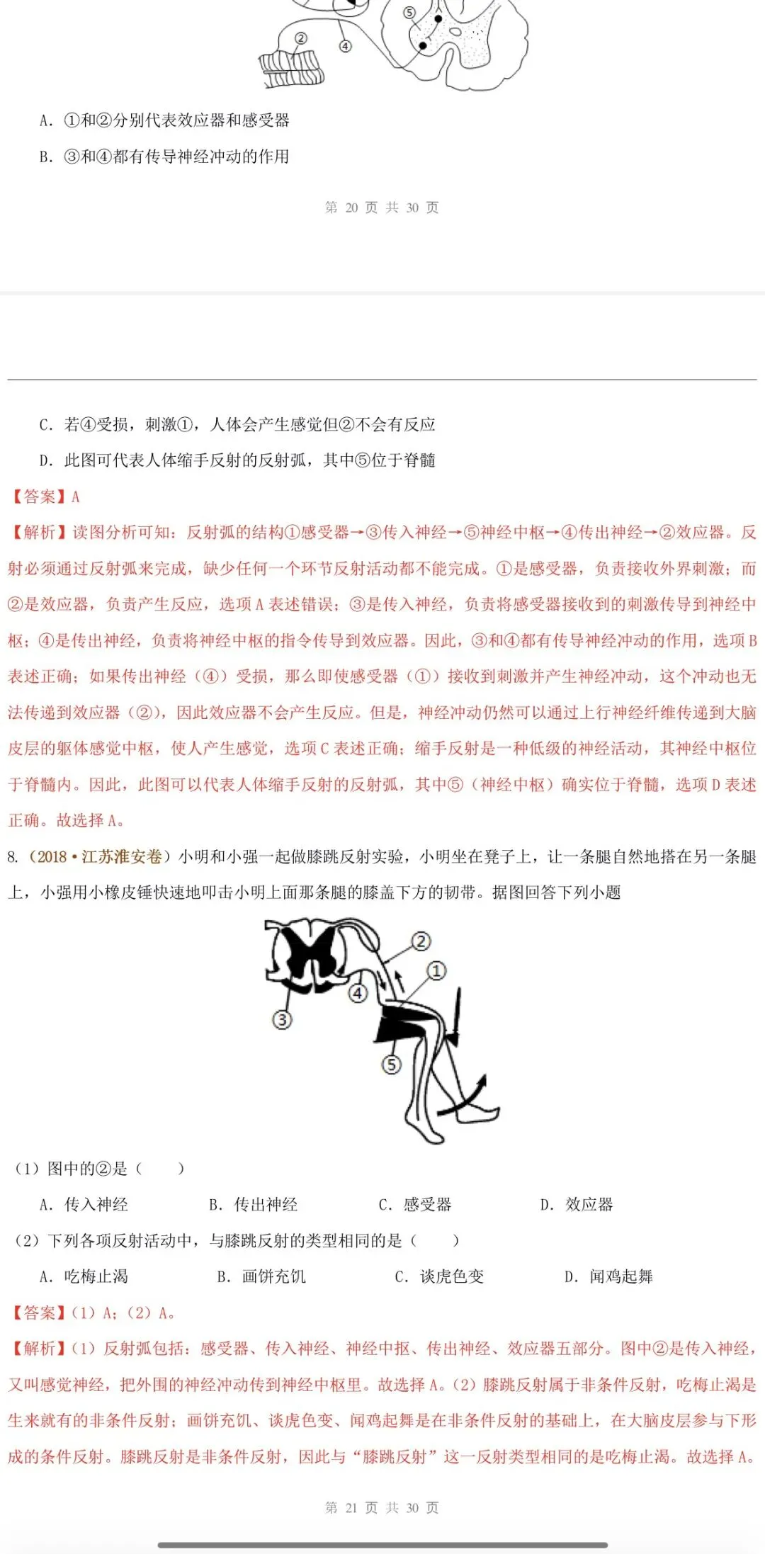 2026年中考生物:一轮复习讲义+专项训练+综合检测64个专题含答案详解(全国通用)完整word版文档可下载打印 第35张