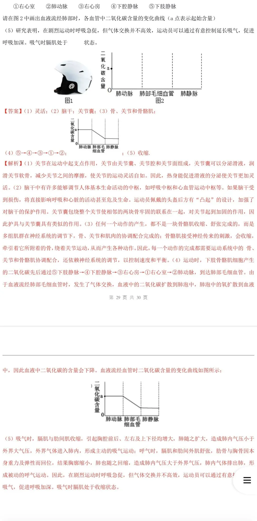 2026年中考生物:一轮复习讲义+专项训练+综合检测64个专题含答案详解(全国通用)完整word版文档可下载打印 第37张