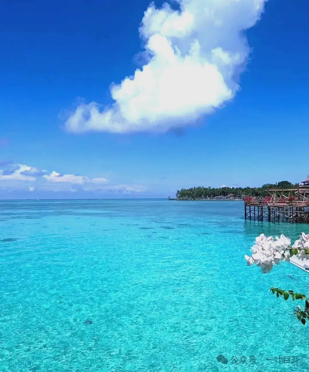 中考最终成绩并不是之前考试成绩的简单加减法 第2张