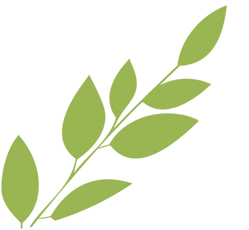 【捷报】班戈县中学中考成绩首次突破800分,再创佳绩! 第5张