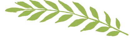 【捷报】班戈县中学中考成绩首次突破800分,再创佳绩! 第6张