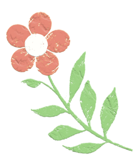 【捷报】班戈县中学中考成绩首次突破800分,再创佳绩! 第46张