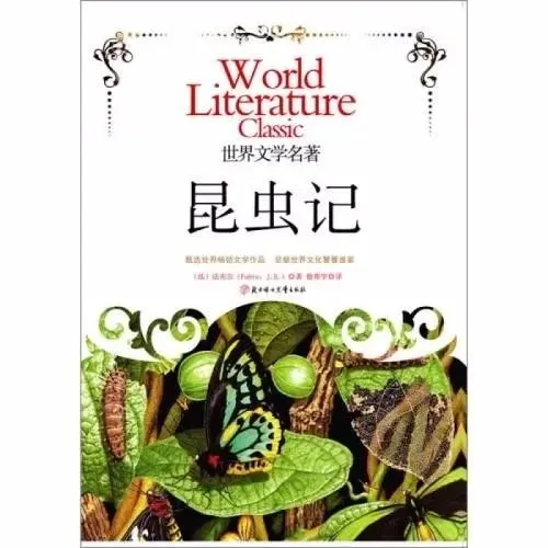 八年级下册必读名著《昆虫记》重点知识+中考真题+读后感 第2张
