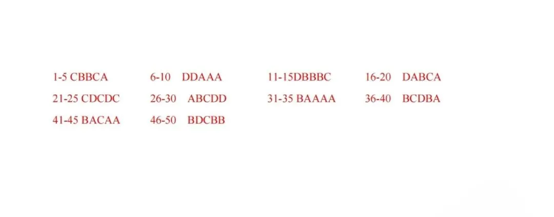 上外附中英语中考衔接语法、词形转换、句型转换、初中英语词组综合汇编 第45张