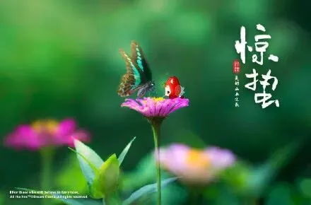 2026年中考化学一轮复习知识点讲解——化学与生活 第26张