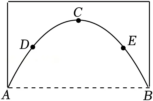 2025年安徽省安庆市太湖五校联考中考数学三模试卷 第18张