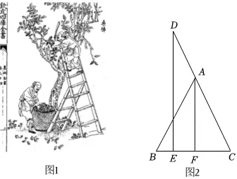 2025年安徽省安庆市太湖五校联考中考数学三模试卷 第28张