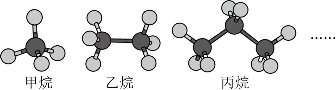 2025年安徽省合肥四十五中本部中考数学四模试卷 第27张