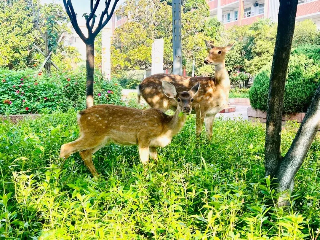 98天后中考丨学习,是给你们一张选择世界的入场券 第2张