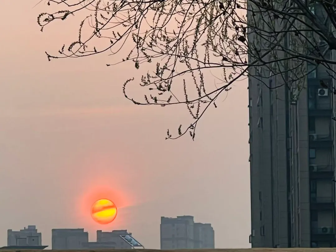 98天后中考丨学习,是给你们一张选择世界的入场券 第3张