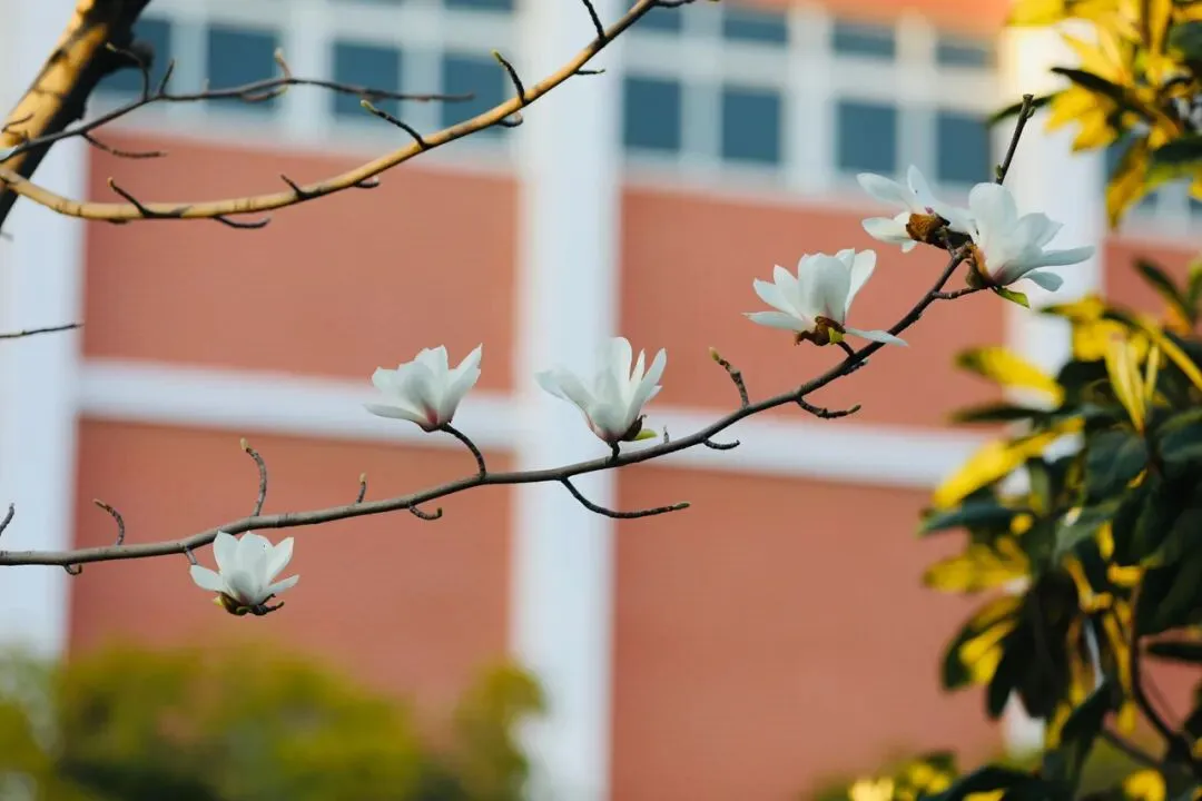 98天后中考丨学习,是给你们一张选择世界的入场券 第6张