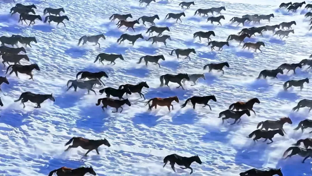 2026年河南中考数学备考听这位专家就够了|附往年参加专家讲座完整音频(亲测干货拉满) 第1张