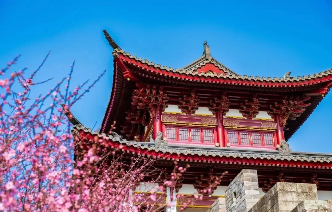 【中考阅读指导】关于榫卯技艺(非连续性文本)贵州2025 第8张