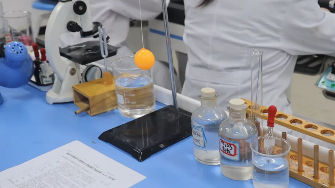 2026届中考全日制,百天冲刺 第13张