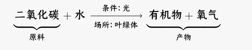 中考科学知识点复习4 第3张