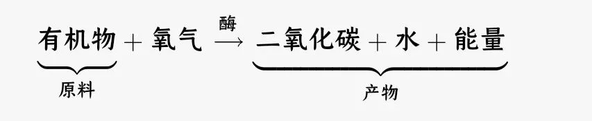 中考科学知识点复习4 第4张