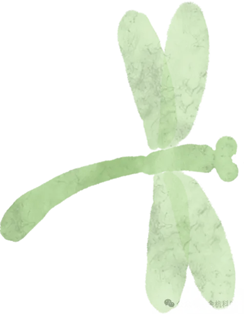 【中考复习】化学专题知识点⑧:物质的分类 化合价和化学式 第11张