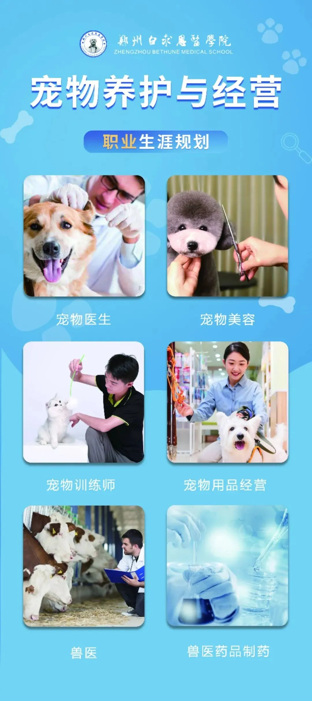 2026年河南省中考重大改革!初中阶段“3+4”直通本科需要多少分?河南的家长需要重点关注! 第8张