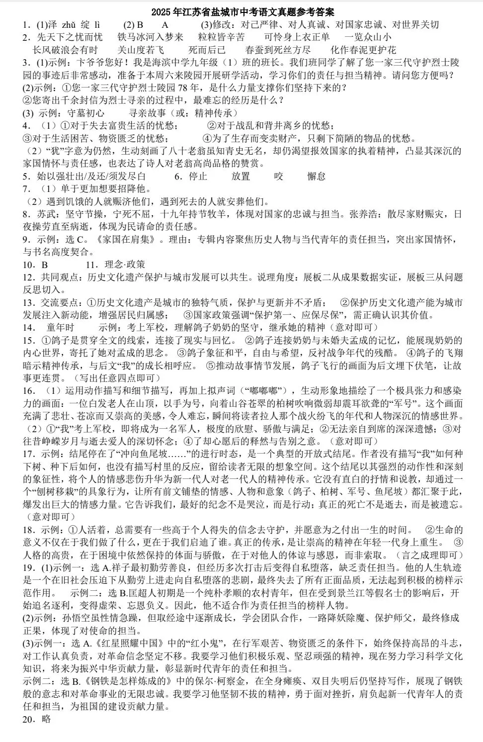 2025年江苏省盐城市中考语文真题 第3张