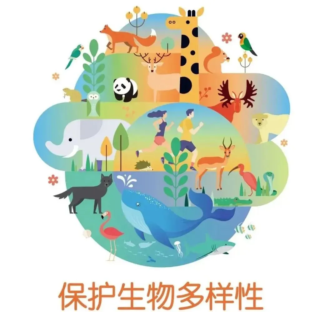 【骠勇战中考】2026福建生物会考|背完这篇稳拿高分!超有趣的生物必考点汇总 第8张