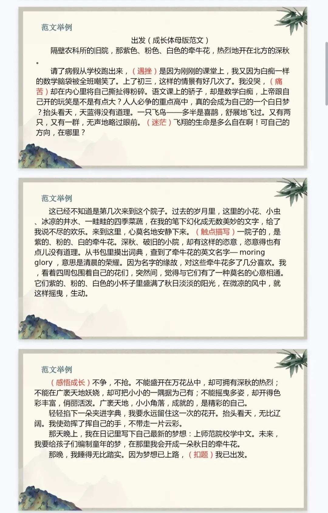 中考,中考作文,系统提升20讲(全) 第45张