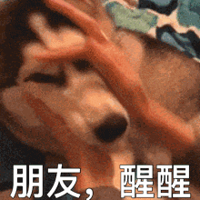 收藏!2026年山东中考全周期备考进度表! 第2张