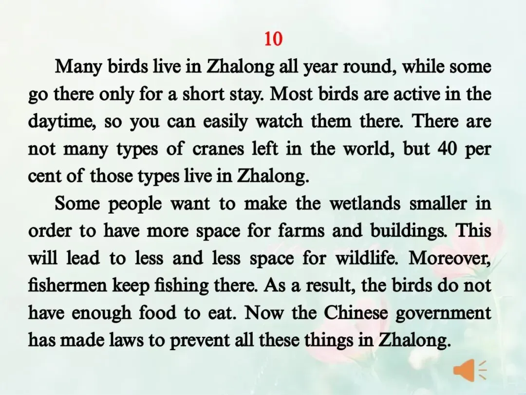 2026年江苏省中考英语听力口语‖朗读短文课件(分享版) 第11张