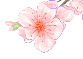 百日冲刺赴征程,笃行奋进战中考——四川省名山中学(蒙山校区)举行冲刺动员大会 第8张