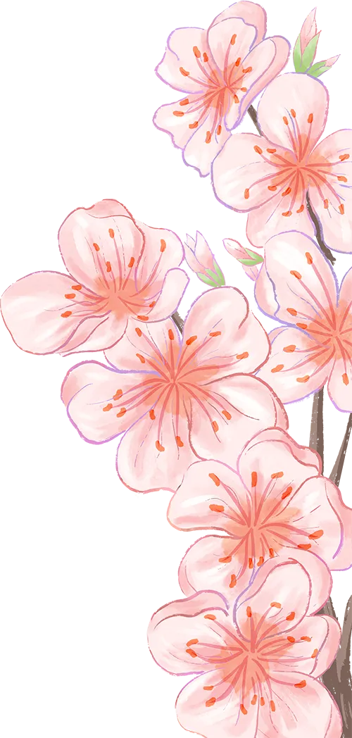 百日冲刺赴征程,笃行奋进战中考——四川省名山中学(蒙山校区)举行冲刺动员大会 第12张