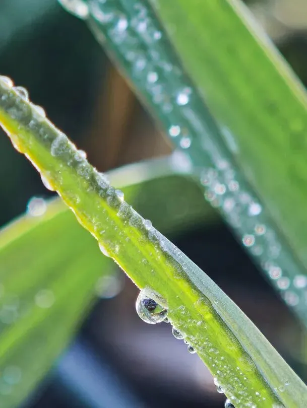 2025年上海中考作文题详解及优秀考场作文 第25张 2025年上海中考作文题详解及优秀考场作文 第25张