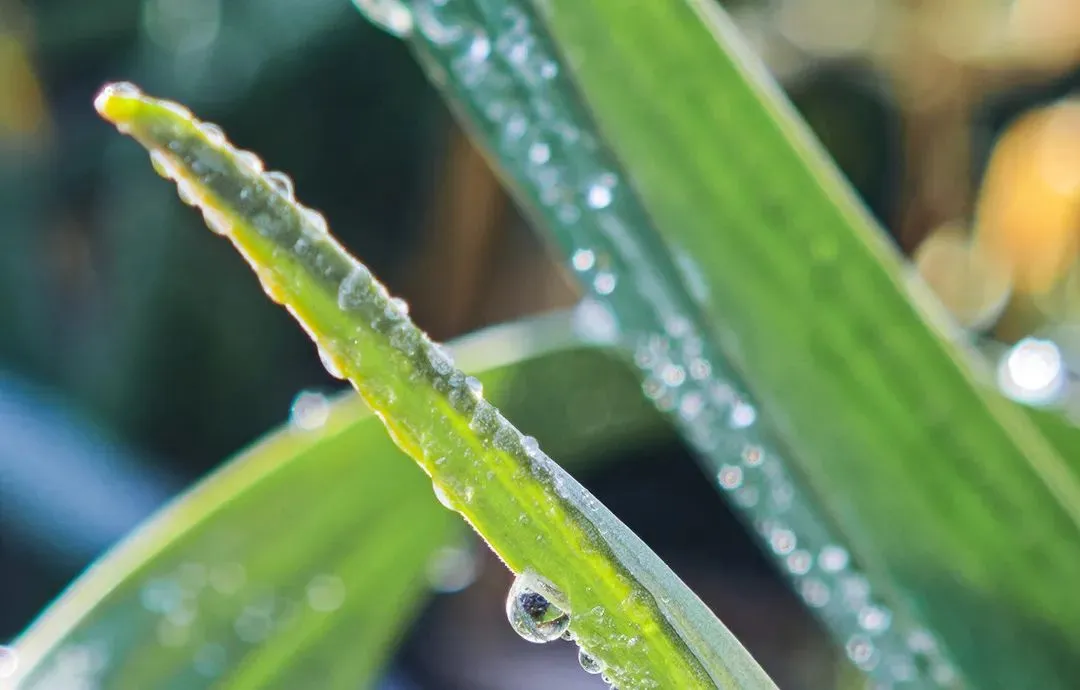 2025年上海中考作文题详解及优秀考场作文 第30张 2025年上海中考作文题详解及优秀考场作文 第30张