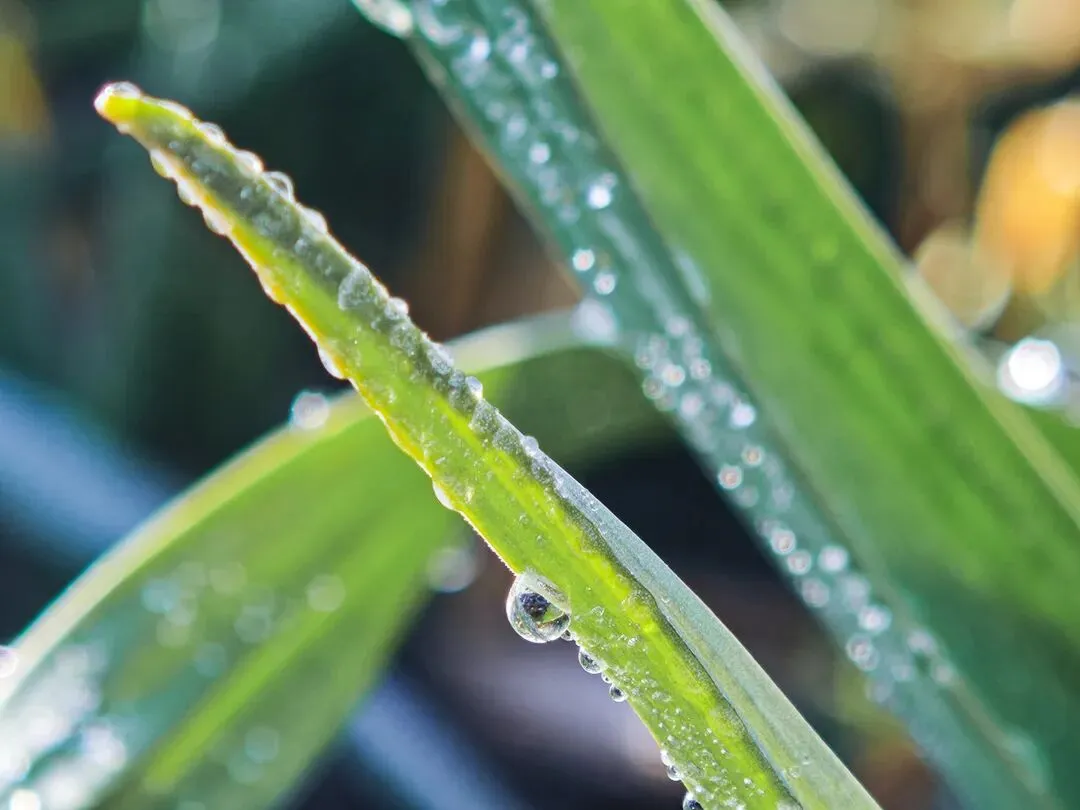 2025年上海中考作文题详解及优秀考场作文 第35张 2025年上海中考作文题详解及优秀考场作文 第35张