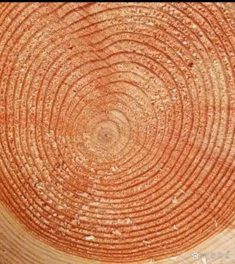 中考微写作任务题设计(三十四) 第2张 中考微写作任务题设计(三十四) 第2张