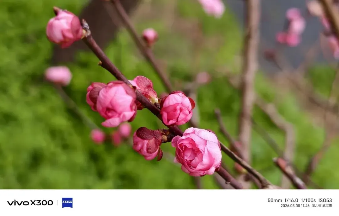 武汉中考散文阅读之概括语意练习导学案(2) 第1张