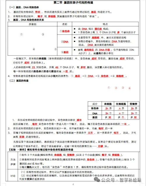 2026年甘肃省人教版八下【生物】中考复习提纲 第5张