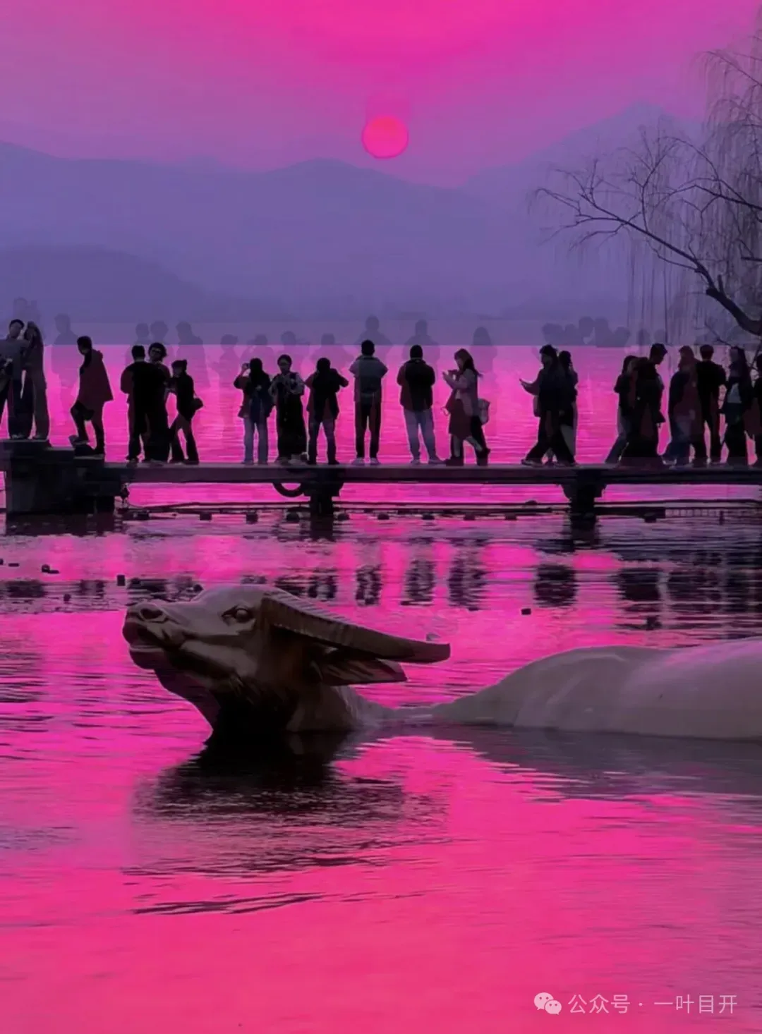 中考715分,就有选择权 第2张