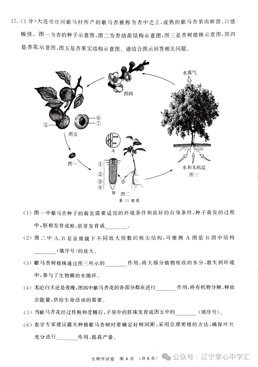 2025年大连中考一模+二模全科试卷(含答案),速速收藏→ 第89张