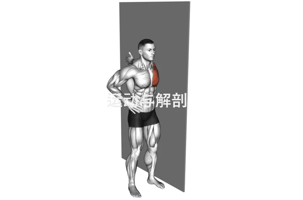 冲刺满分!中考体育实心球 · 家庭训练全攻略 第9张