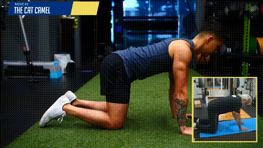 冲刺满分!中考体育实心球 · 家庭训练全攻略 第10张