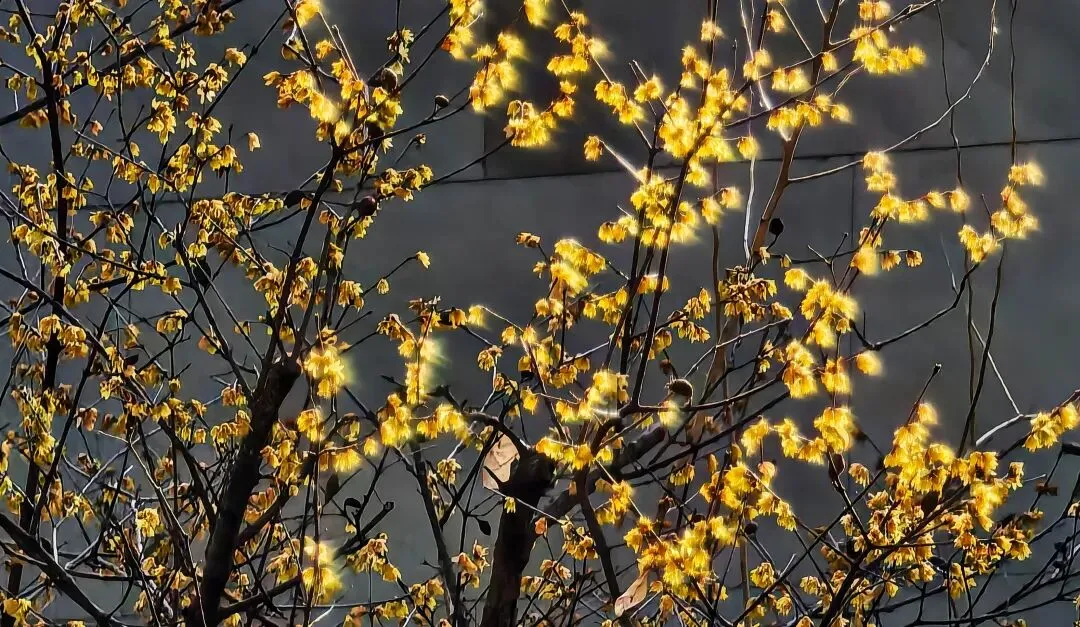 对2025年AB两地中考数学试卷的对比分析 第1张