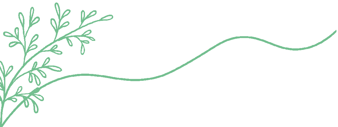 2025《初中数学•53中考总复习》浙教版 第2张